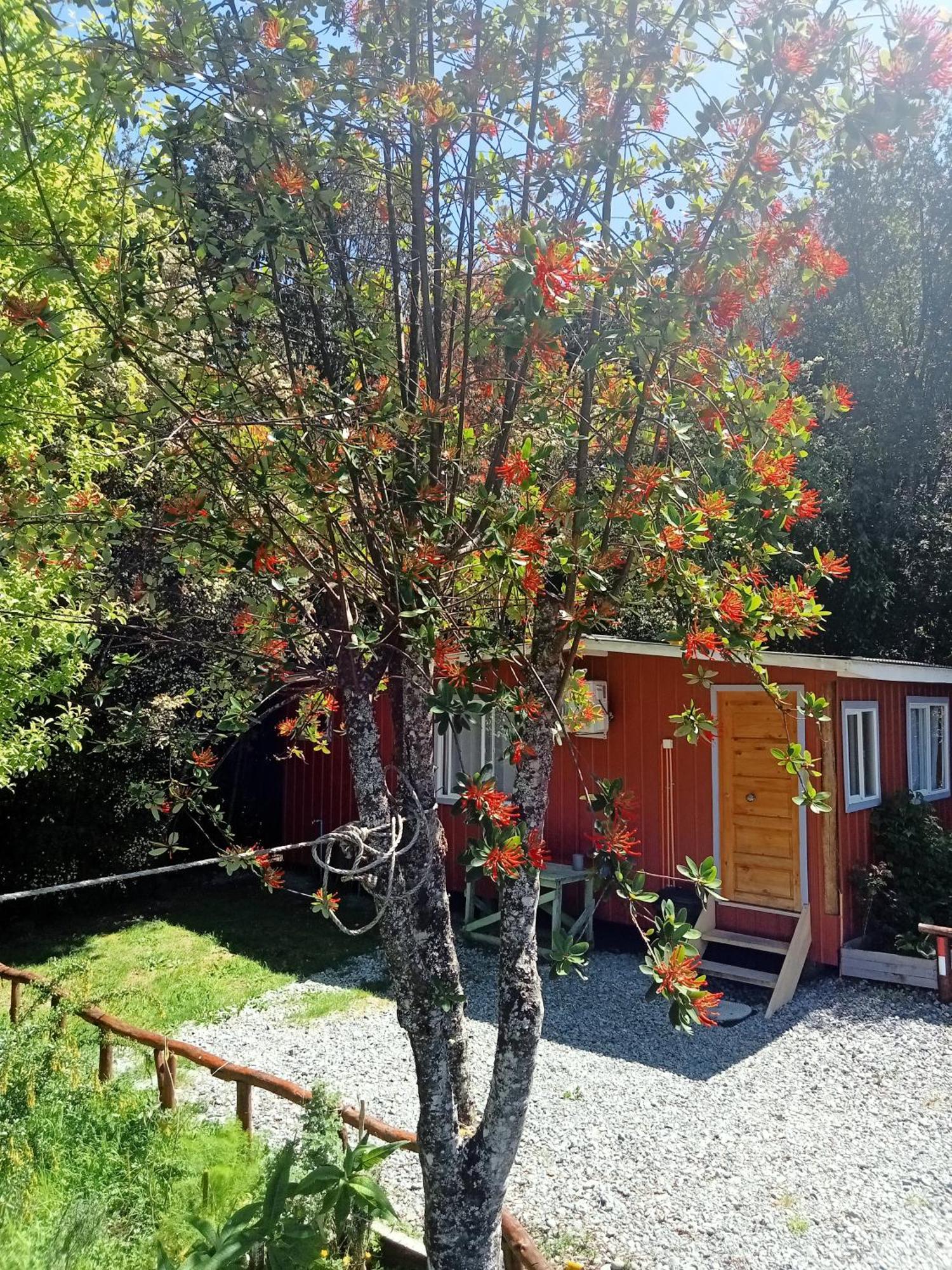 Cabanas Bosquenotro Hornopiren Exterior photo